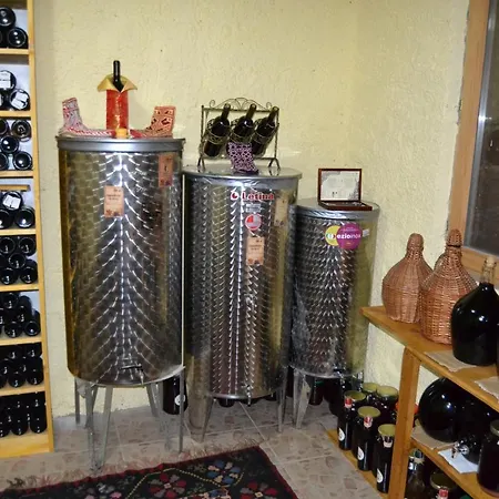 Vesna פודגוריצה